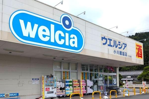 比企郡小川町大字腰越の土地(ウエルシア小川腰越店)