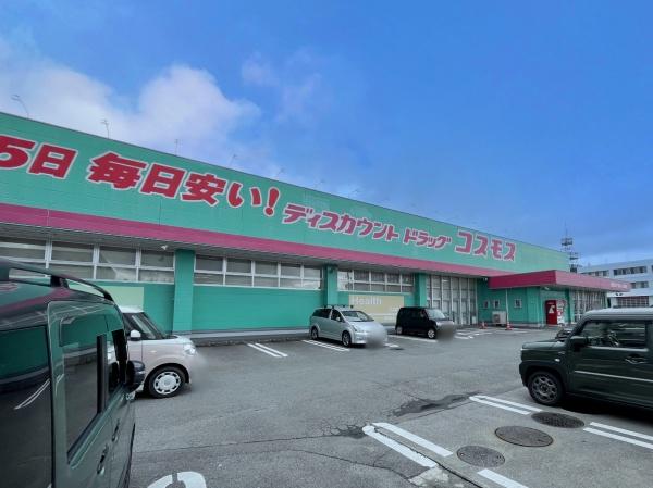 センチュリータウン武雄2 D棟(ドラックストアコスモス武雄店)