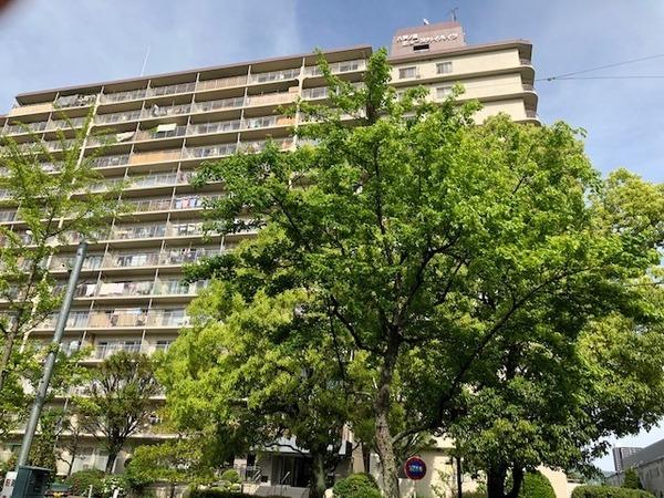 八戸ノ里ニュースカイハイツ