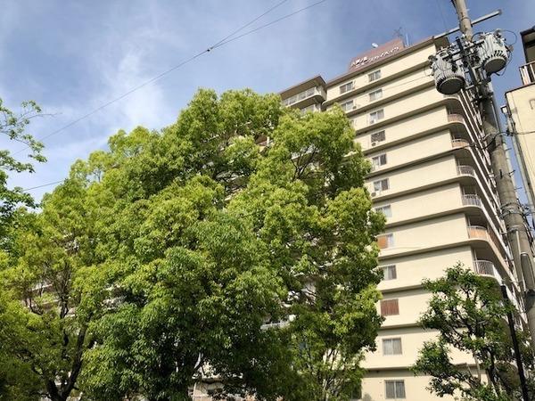 八戸ノ里ニュースカイハイツ