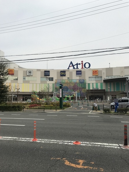 八尾市緑ヶ丘3丁目の中古一戸建て(アリオ八尾)