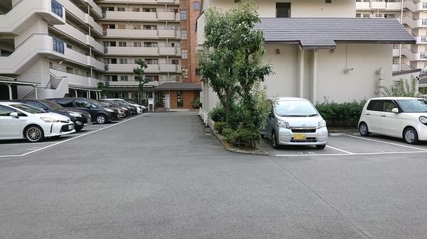 エルグリーンたつみ