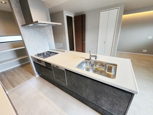 八尾市東本町5丁目の中古一戸建て(キッチン)