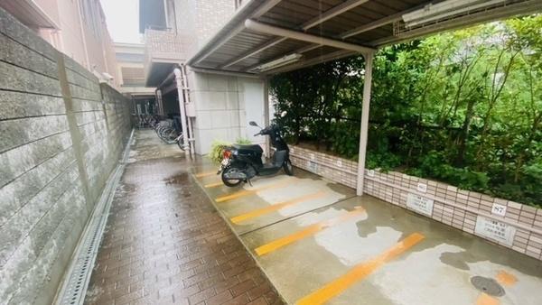 コート新深江