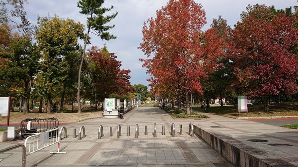東大阪市大蓮南4丁目(久宝寺緑地)