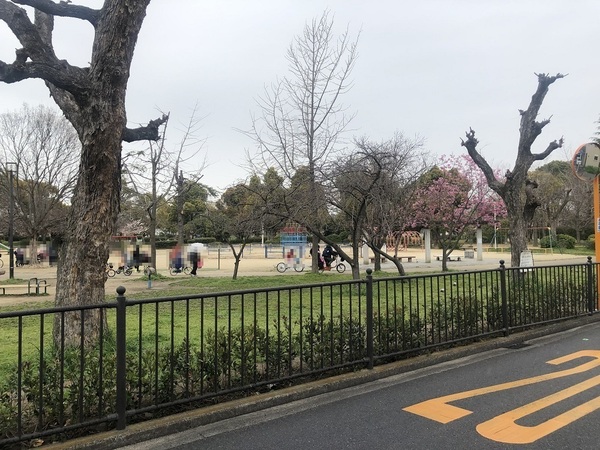 八戸ノ里第3ガーデンハイツB棟(八戸の里公園)