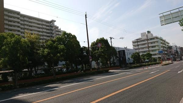 エルグリーンたつみ