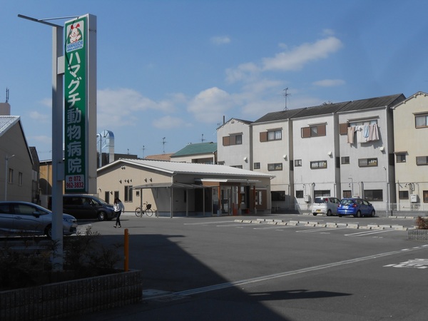 東大阪市岩田町4丁目(ハマグチ動物病院)