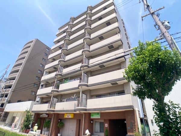 ドムール平野