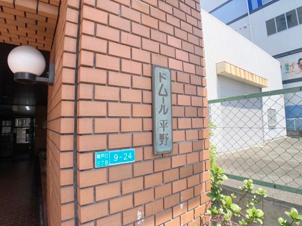 ドムール平野