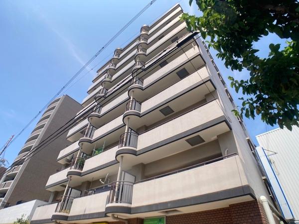 ドムール平野