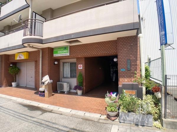 ドムール平野