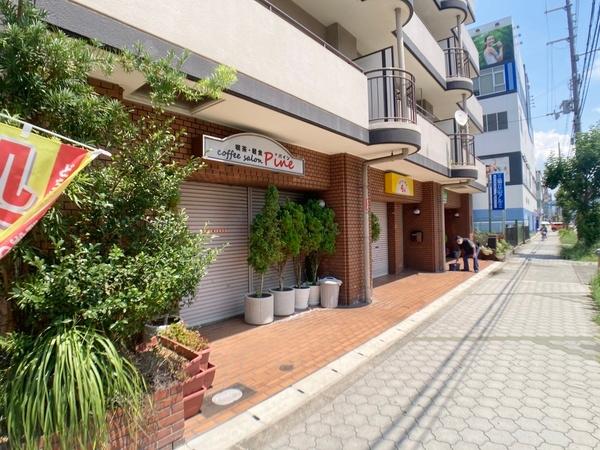 ドムール平野