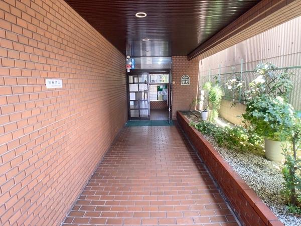 ドムール平野