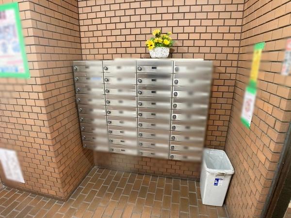 ドムール平野