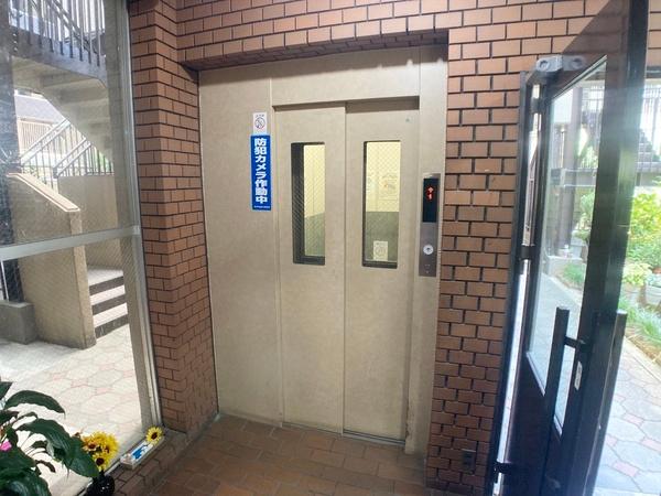 ドムール平野