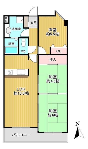 レックスシティ八尾志紀
