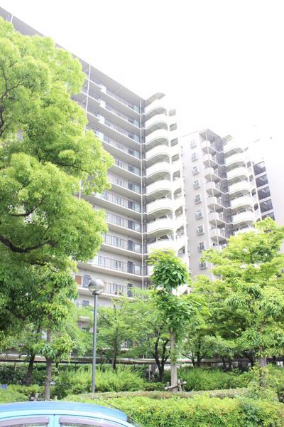 アメリア2番館(その他現地)