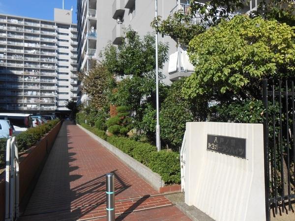 八戸ノ里第三ガーデンハイツB棟(その他現地)