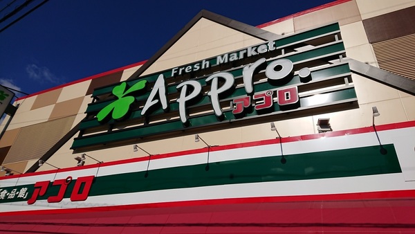 ノバカネイチ勝山公園(食品館アプロ大池橋店)