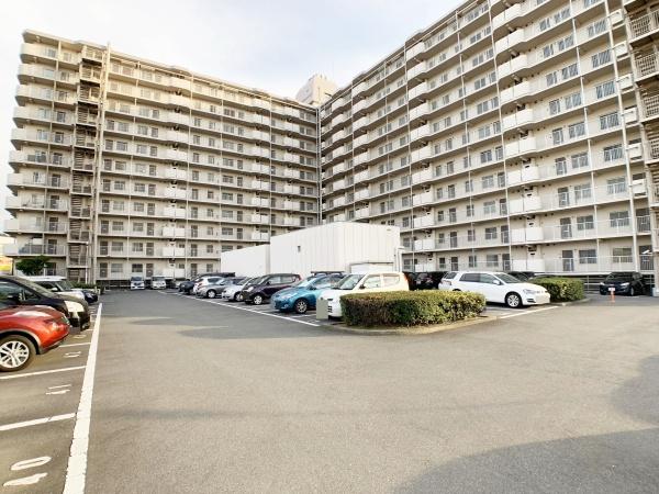 八尾志紀スカイハイツ