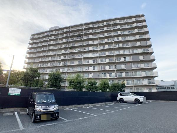 八尾志紀スカイハイツ