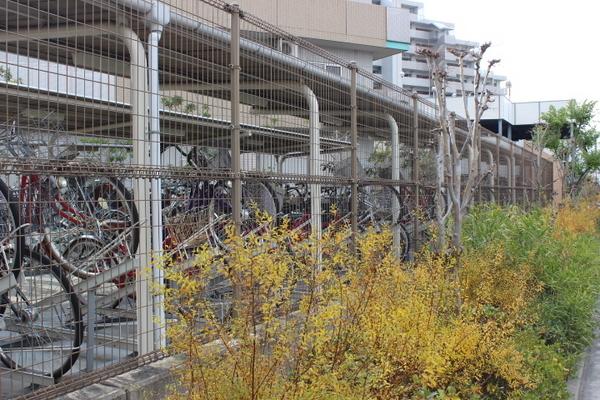 ライオンズマンション鴻池新田