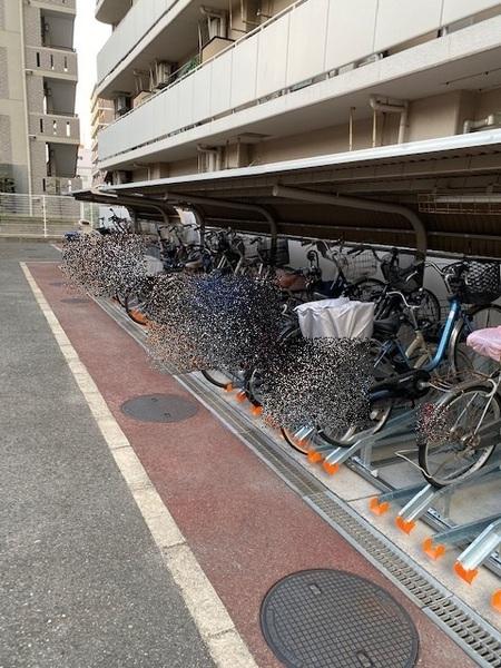 グランソフィア平野