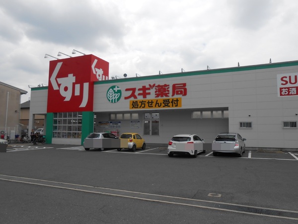 ライオンズマンション若江東一番館(スギ薬局若江南店)