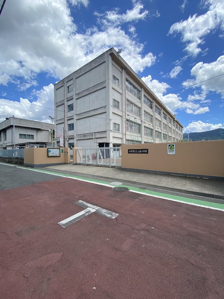 八尾山本レックスマンション(八尾市立上之島小学校)