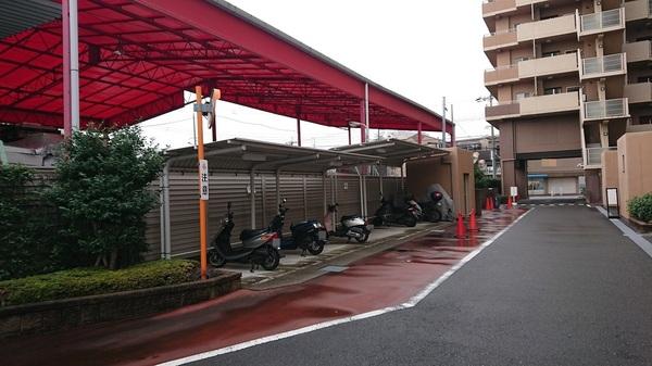 ルネセントエール