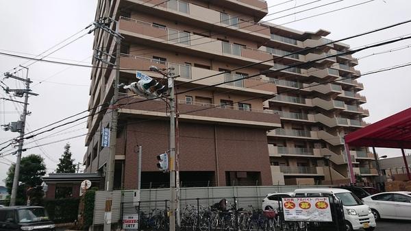 ルネセントエール