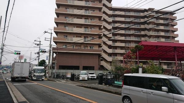ルネセントエール