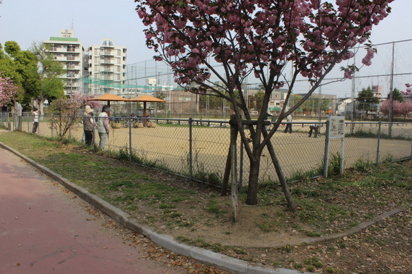 セントパークス平野公園