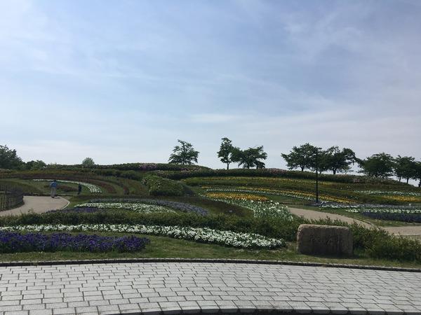 北葛城郡広陵町大字弁財天の土地(馬見丘陵公園)