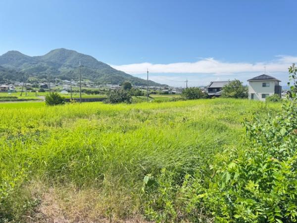 葛城市當麻の土地