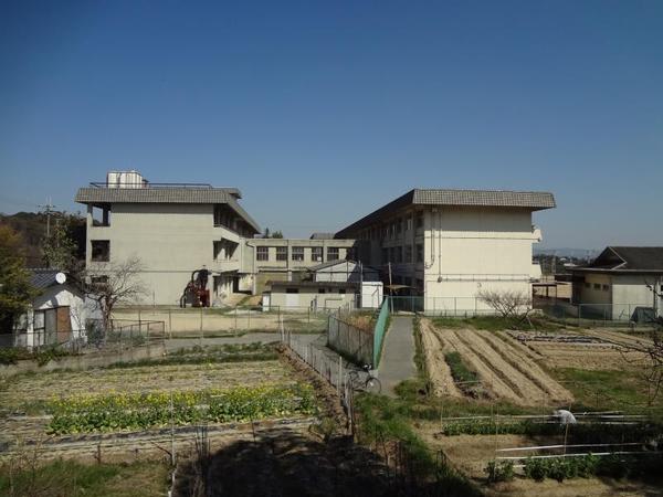 生駒郡斑鳩町法隆寺西１丁目の土地(斑鳩中学校)