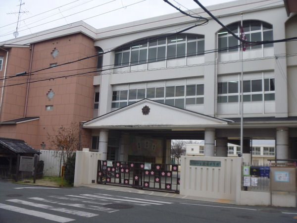 大和高田市大字大谷の土地(大和高田市立磐園小学校)