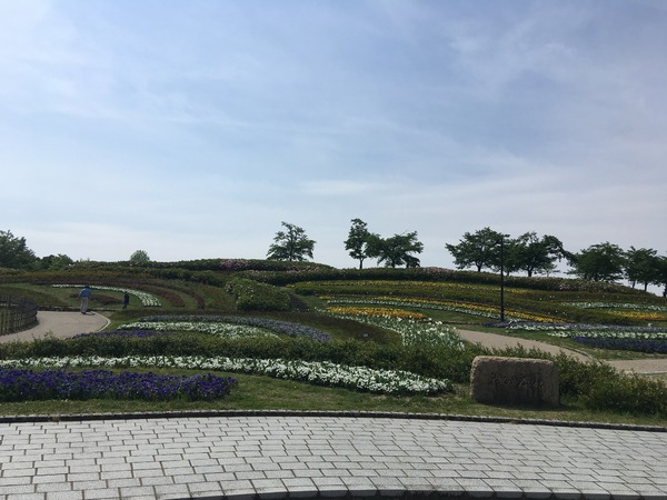 北葛城郡広陵町大字三吉の土地(馬見丘陵公園)