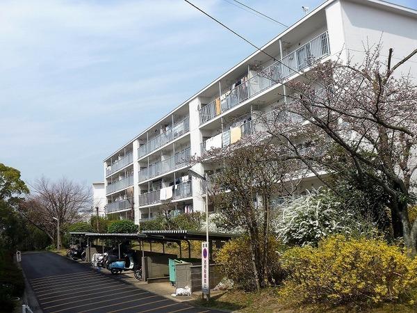関屋あしびハイツ12棟