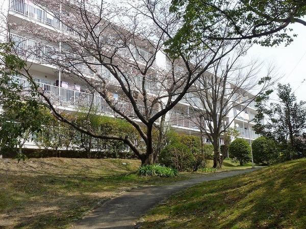 関屋あしびハイツ12棟