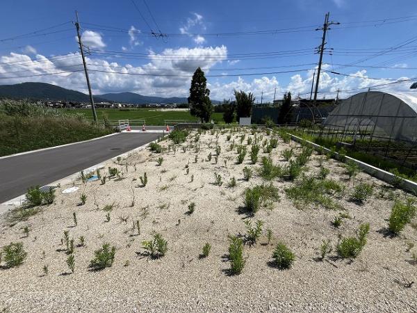 天理市柳本町の土地