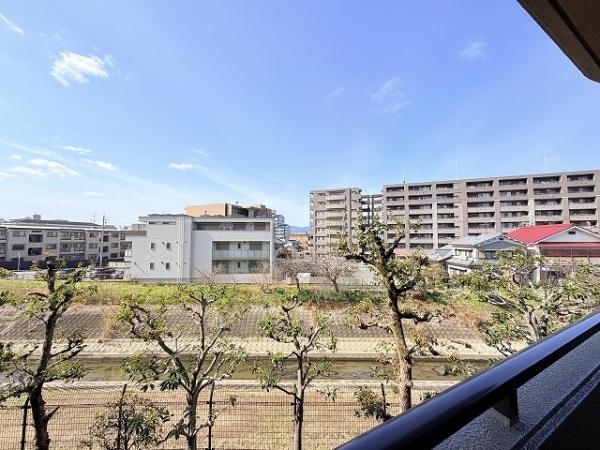 サントゥール八木