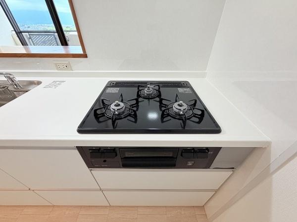 東急ドエル大和八木アネックスＣ棟
