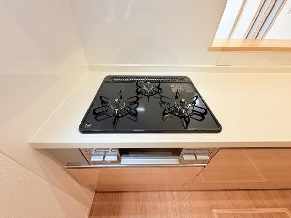 天理市第2指柳町　1号棟　新築戸建