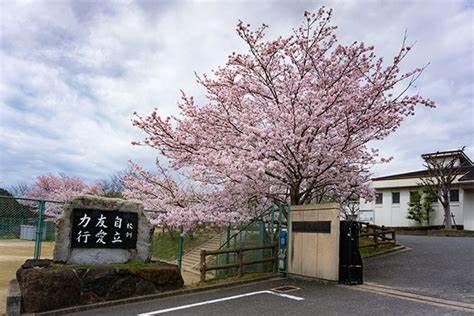 桜井市大字赤尾の土地(桜井市立桜井中学校)