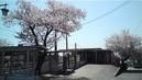 北葛城郡王寺町畠田9丁目の中古一戸建て(JR和歌山線 畠田駅)