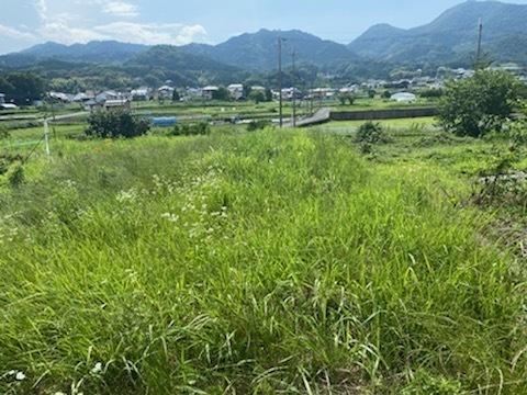 葛城市當麻の売土地