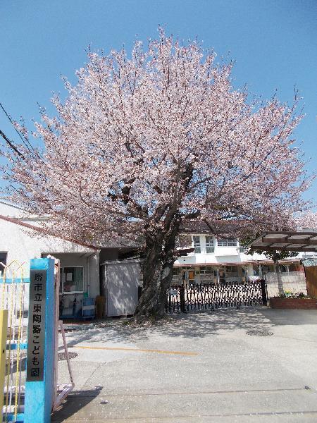 堺市中区陶器北の中古一戸建て(堺市立東陶器こども園)