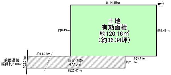 ５号地